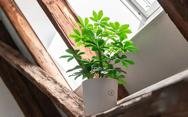 mol_teaser_slidekarussell_gal_DSC03853